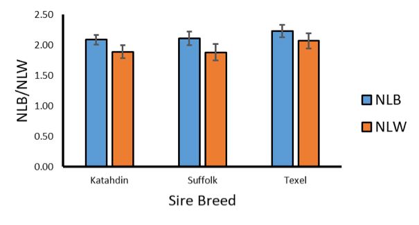 chart of NLB/NLW by Sire Breed