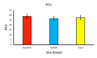 PCV of 3 groups of sheep in 3 year study 